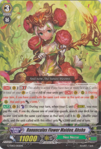 Ranunculus Flower Maiden, Ahsha